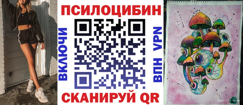 Псилоцибиновые грибы Psilocybine cubensis  Купить  Корсаков 