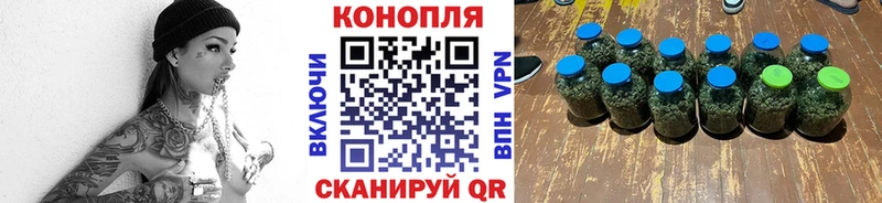 Каннабис план  Купить закладки  Корсаков 